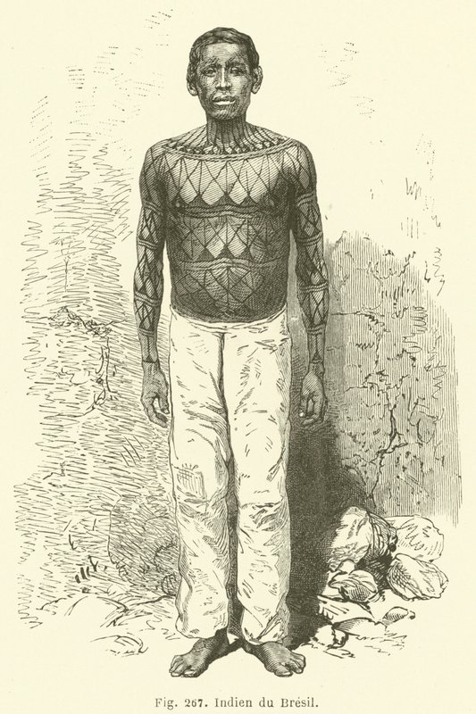 Brazilian Indian by European School