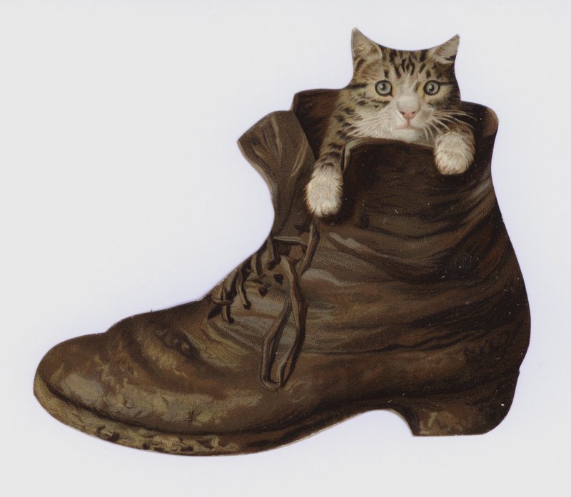 Kitten in a Boot by European School