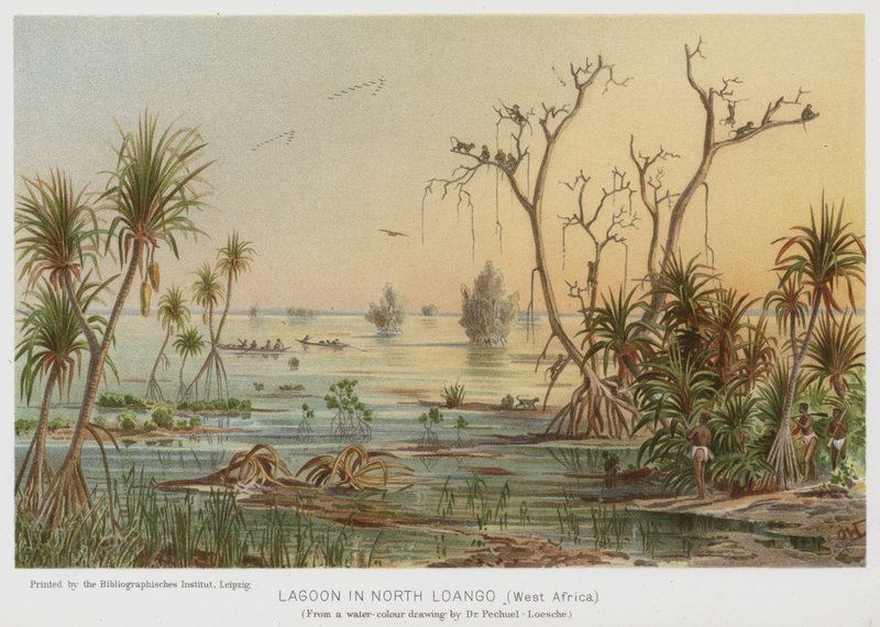 Lagoon in North Loango, West Africa by European School