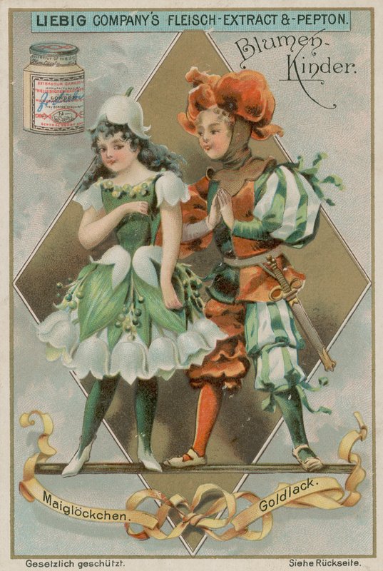 Lily of the Valley and Aegean Wallflower by European School