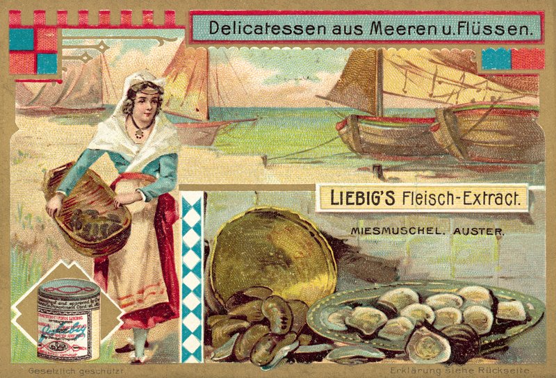 Mussels and Oysters by European School