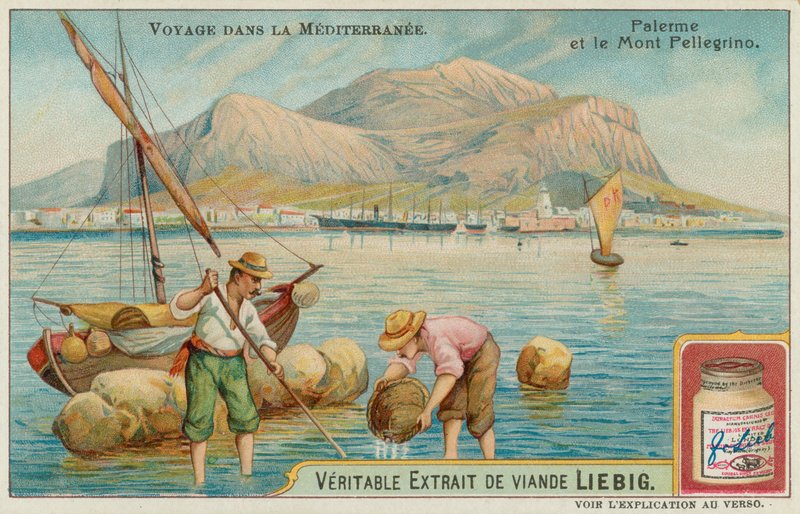 Palermo and Mount Pellegrino by European School