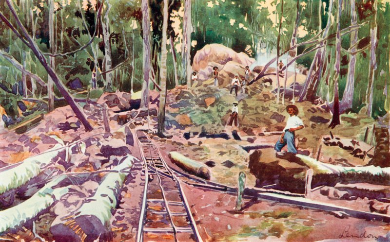 Penetrating the Amazonian Forest, Madeira-Mamore Railway by European School