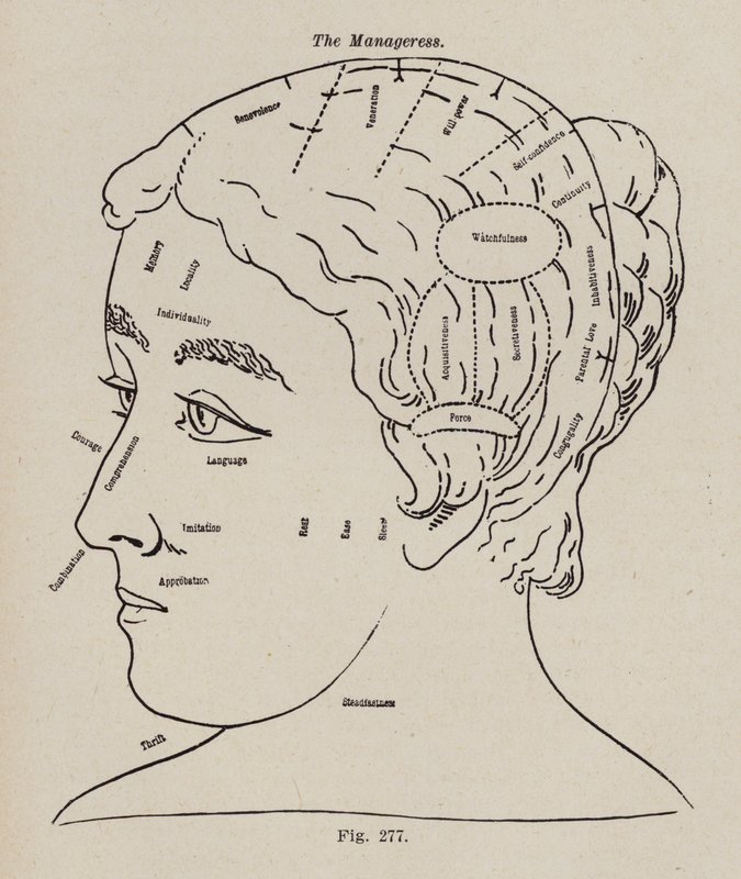 Phrenology, A Manageress by European School