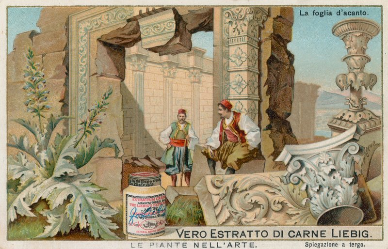Plants in Art by European School