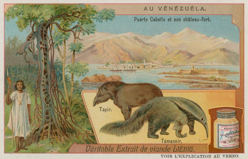 Puerto Cabello and its Fort with a Tapir and an Anteater by European School