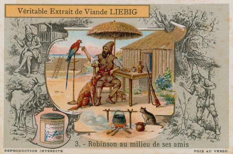 Robinson Crusoe with all his friends by European School