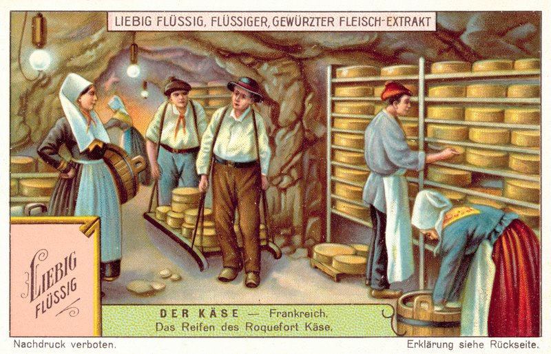 Roquefort cheeses maturing in France by European School