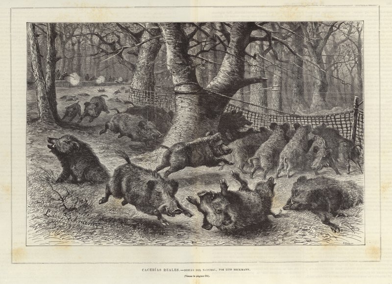 Royal Hunt by European School
