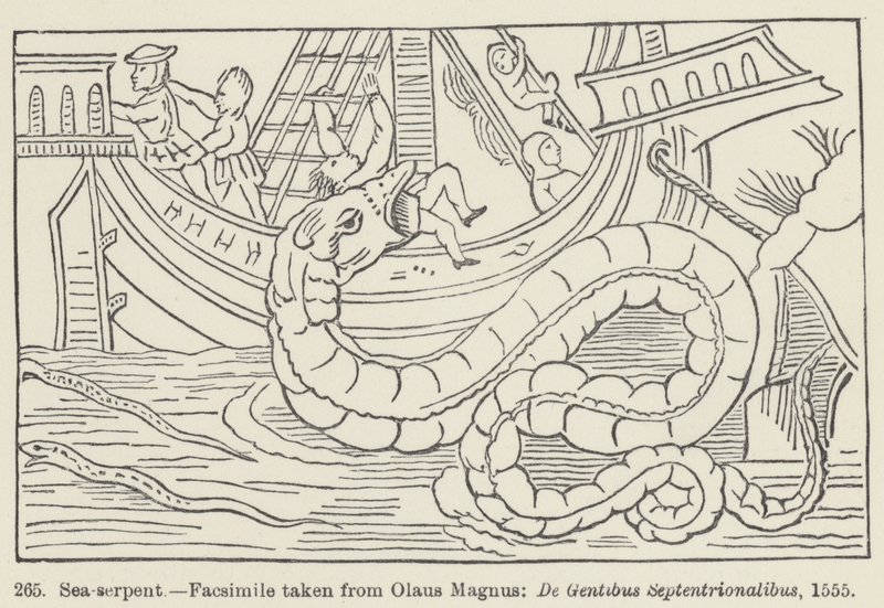 Sea-serpent by European School