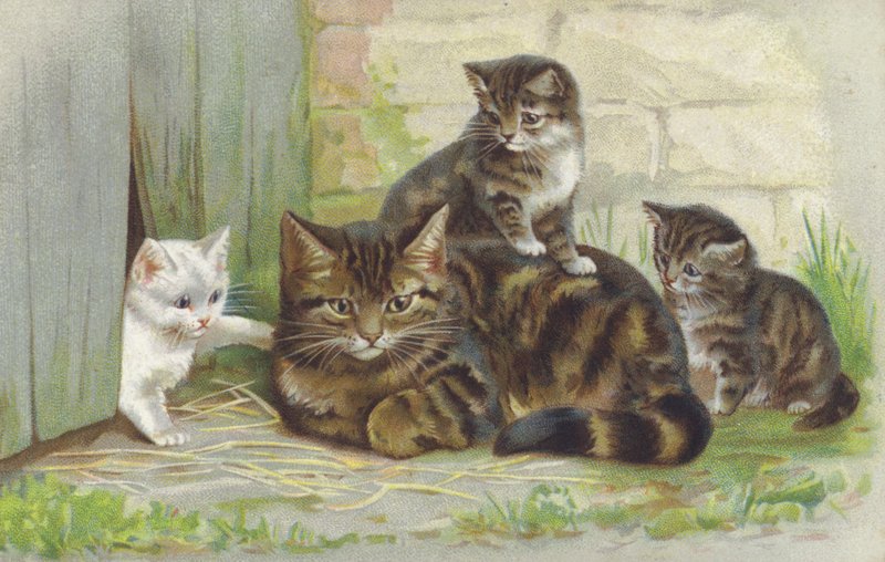 Tabby Cat with Three Kittens by European School