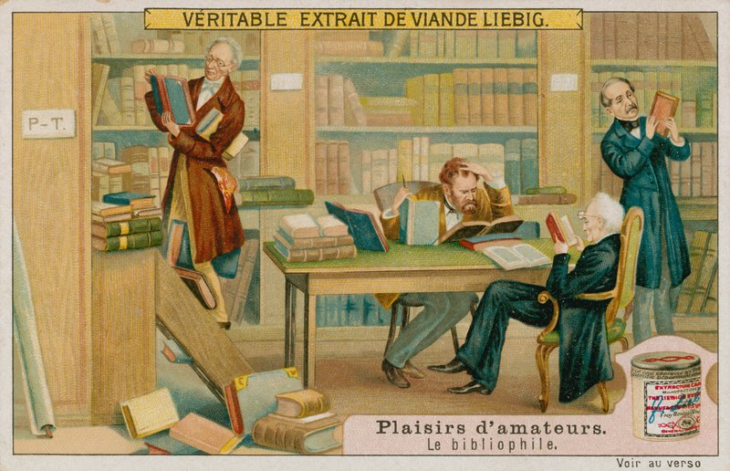 The Amateur Bibliophile by European School