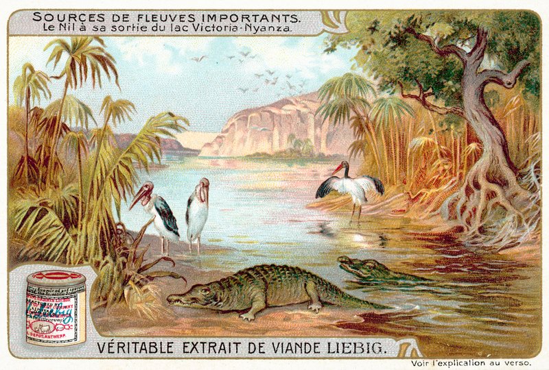 The Nile as it exits Lake Victoria by European School