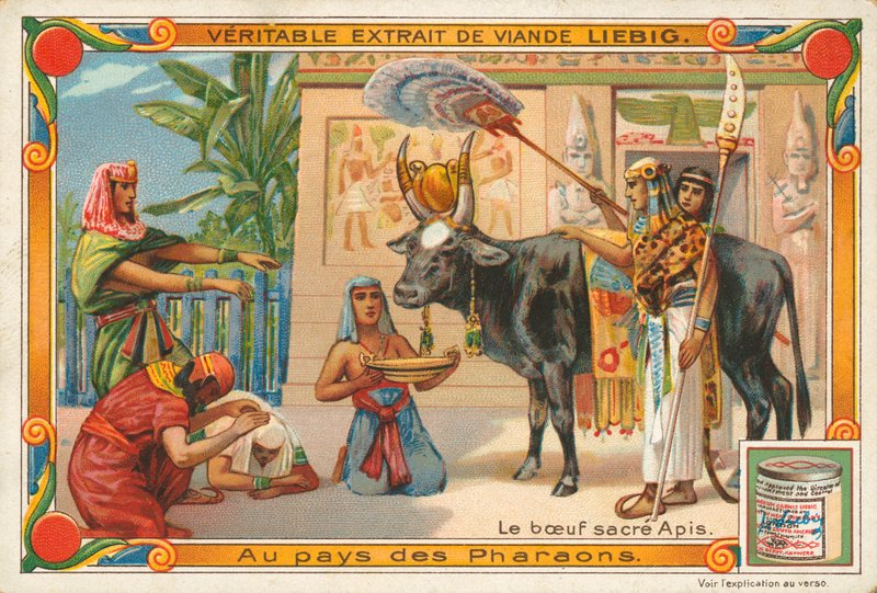 The Sacred Bull Apis, Liebig Card, Early 20th Century by European School