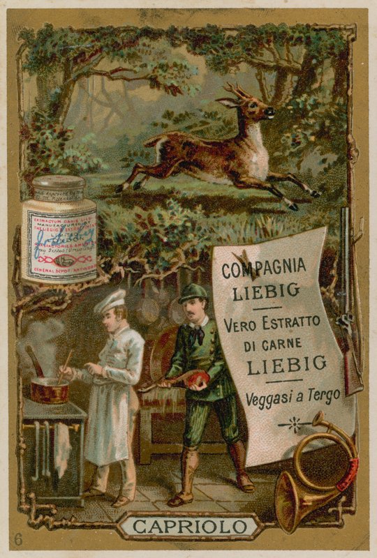 Venison by European School