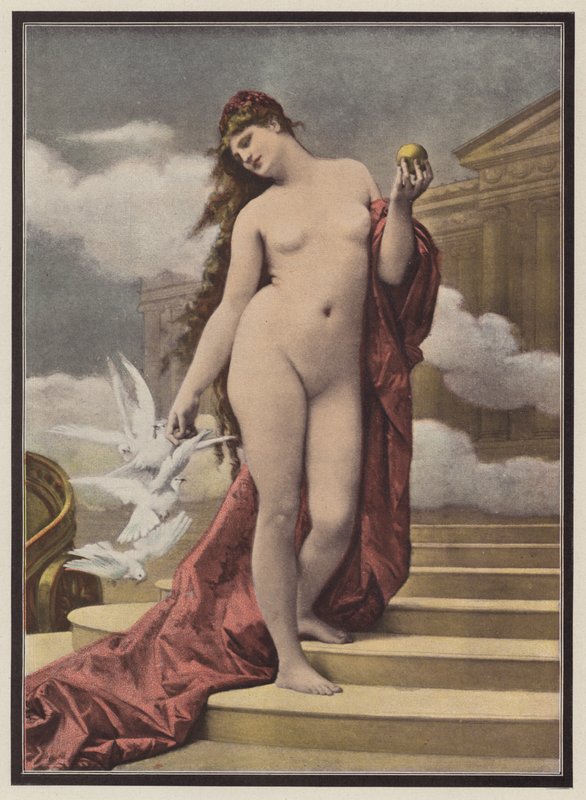 Venus by European School