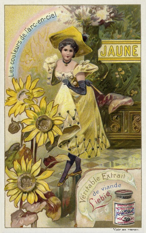 Yellow by European School