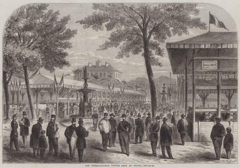 The International Cattle Show at Poissy by Felix Thorigny