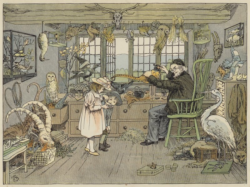Bird-Stuffer by Francis Donkin Bedford