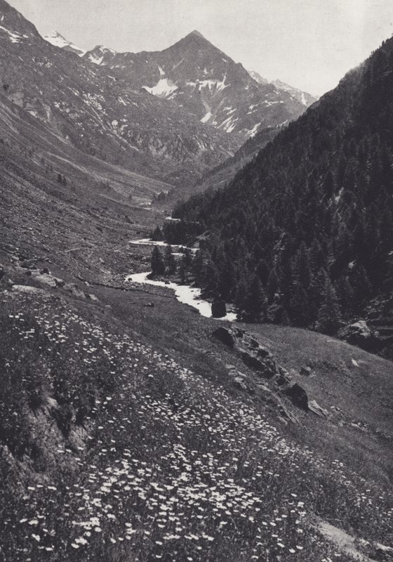 Eastern Alps: In the Windach Tal by Francis Sydney Smythe