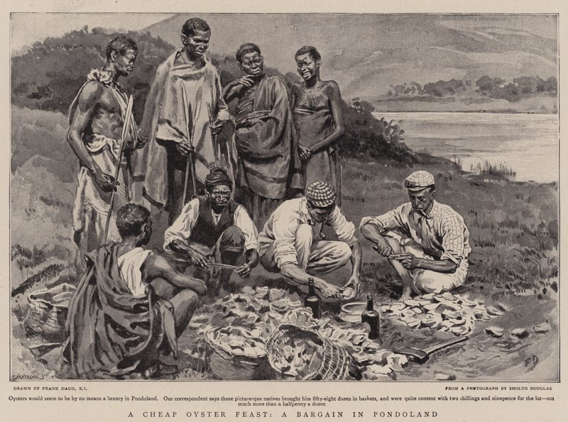 A Cheap Oyster Feast, a Bargain in Pondoland by Frank Dadd