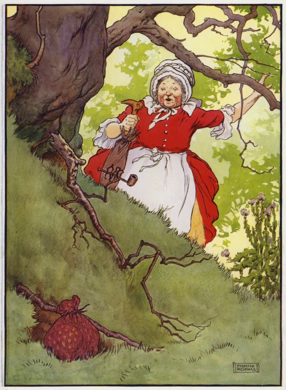 Illustration for Old Dame Trot And Her Pig by Frank Adams