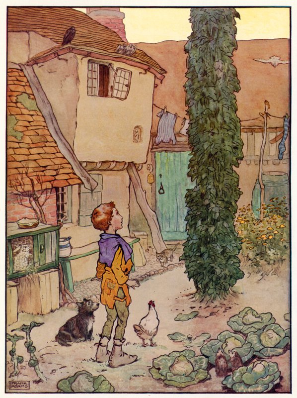 Jack and the Beanstalk by Frank Adams