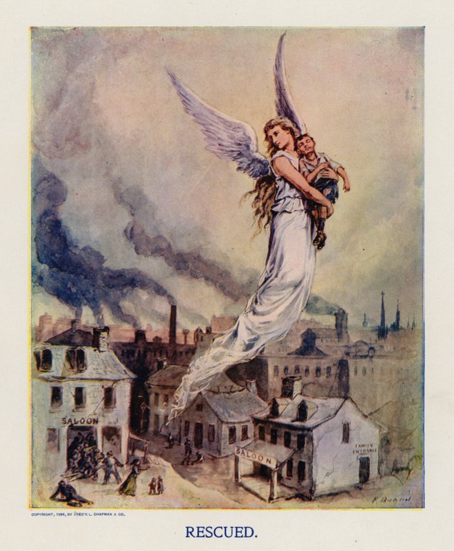 Rescued by Frank Beard