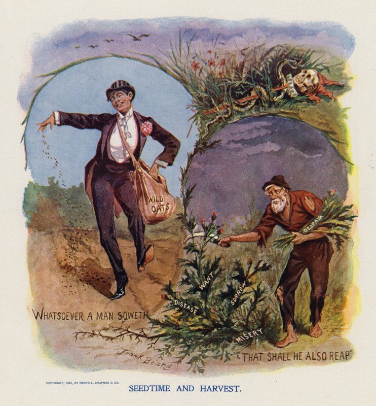 Seedtime and Harvest by Frank Beard