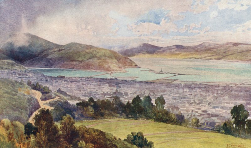 New Zealand: Dunedin by Frank H Wright