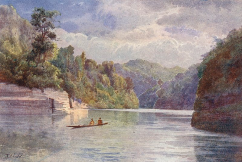 New Zealand: Tarei-po-Kiore by Frank H Wright