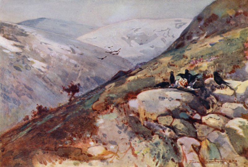 Near Kielder by Frank Southgate