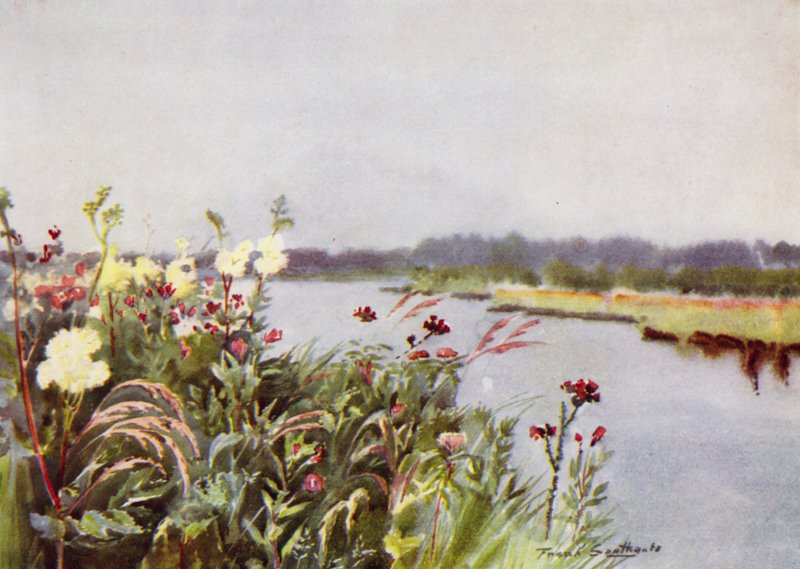 Norfolk Broads: A Bure Bank by Frank Southgate