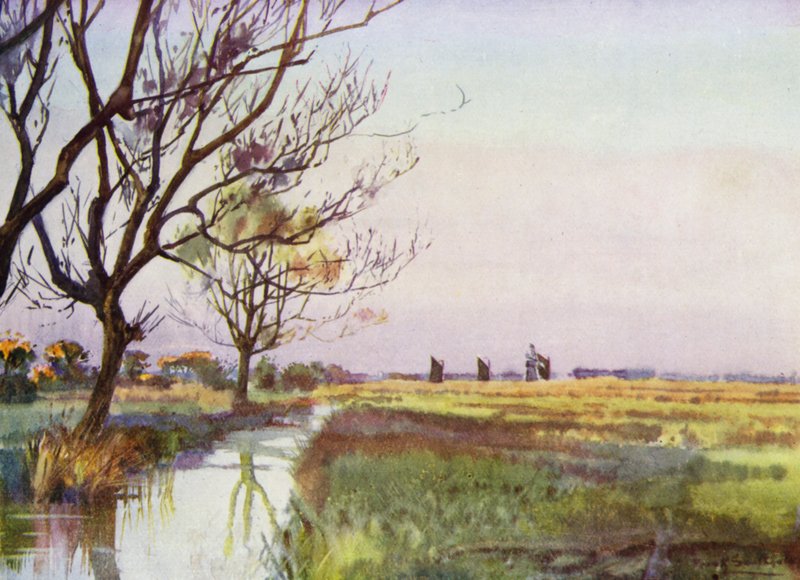 Norfolk Broads: Marshland near Barton by Frank Southgate