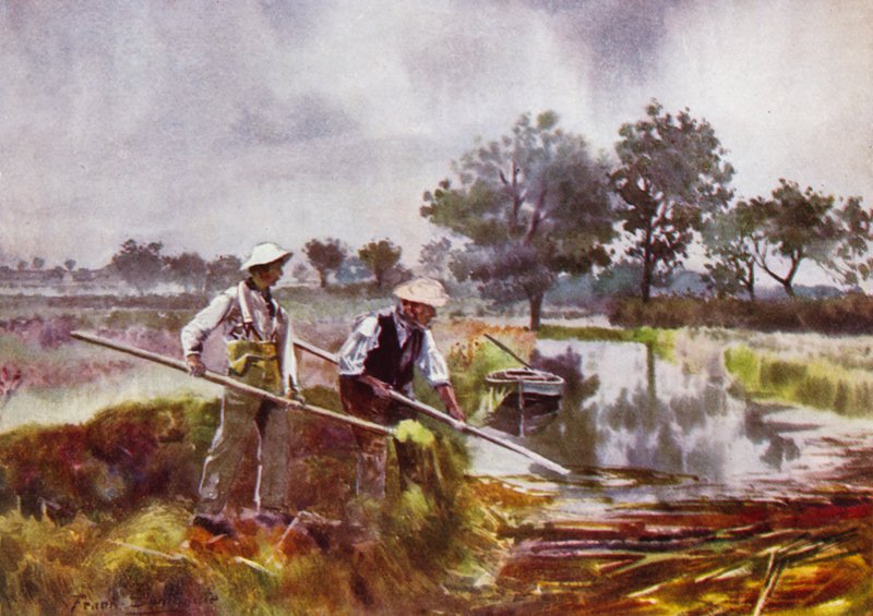 Norfolk Broads: Marshmen Weed-Lifting by Frank Southgate