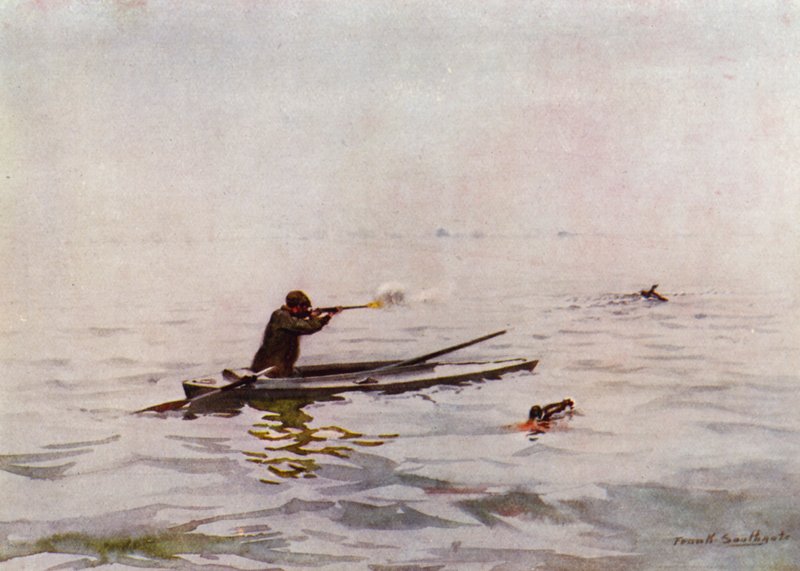 Norfolk Broads: Punt-Gunning on Breydon by Frank Southgate