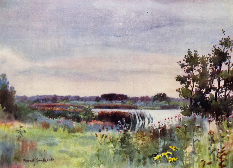 Norfolk Broads: Salhouse Great Broad by Frank Southgate