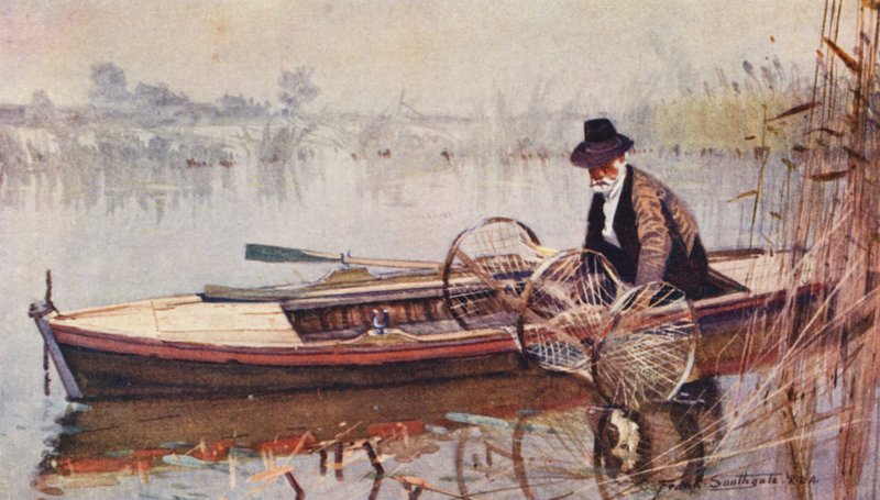 Wild Life in East Anglia: Setting the Bow-Net by Frank Southgate