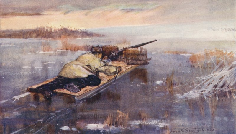 Wild Life in East Anglia: Wild-Fowling with a Stalking Sledge by Frank Southgate