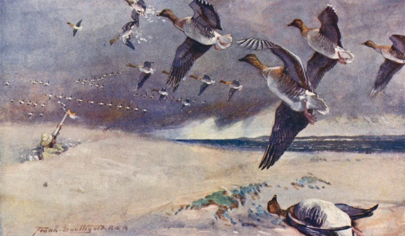 Wild Life in East Anglia: Wild-Goose Shooting by Frank Southgate