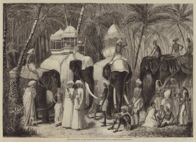 The Elephants of the Rajah of Travancore by Frank Vizetelly