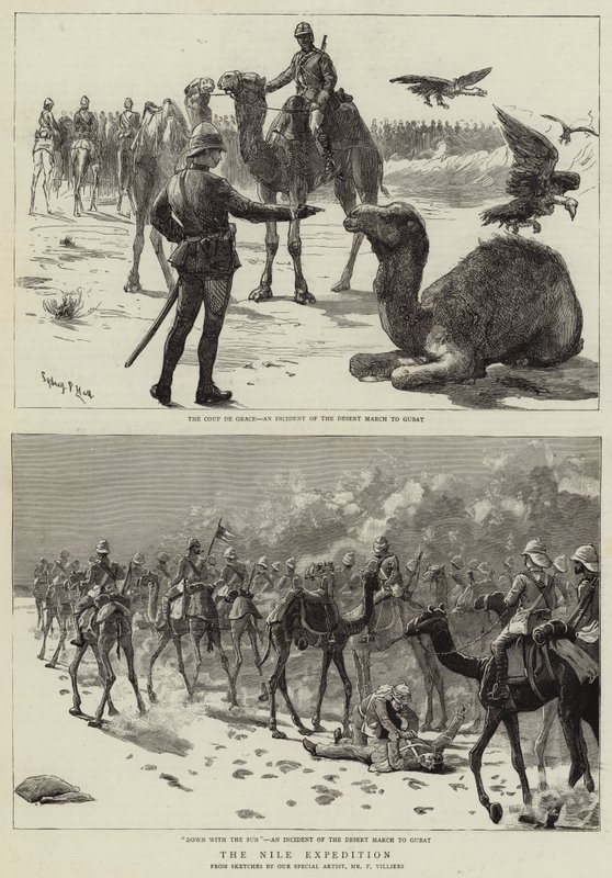 The Nile Expedition by Frederic Villiers