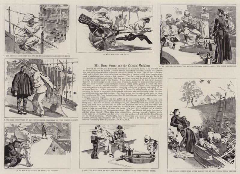 Mr Pease Greene and the Celestial Ducklings by Frederick Henry Townsend