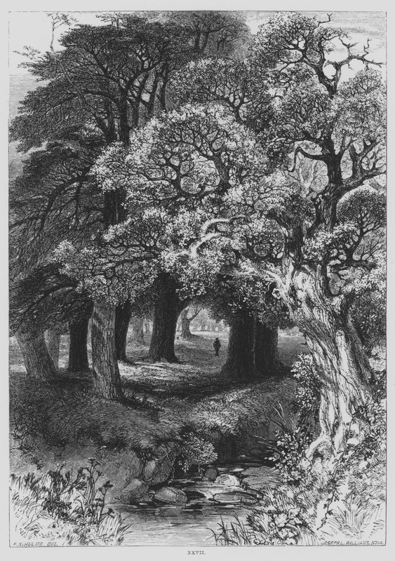 John Milton, Il Penseroso by Frederick William Hulme