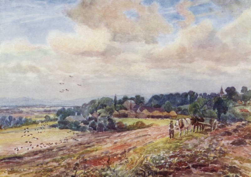 Hungry Grafton by Frederick William Newton Whitehead