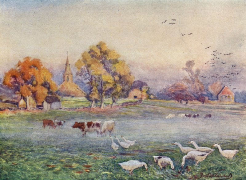 The Abbey Fields, Kenilworth by Frederick William Newton Whitehead
