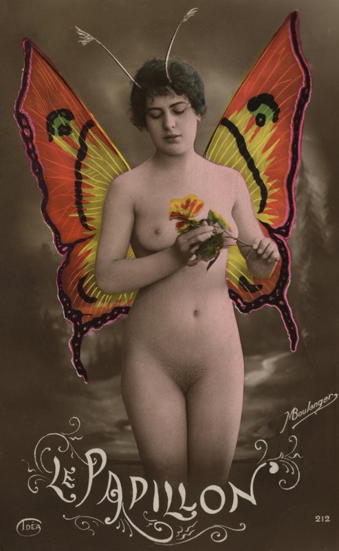 The butterfly by French Photographer