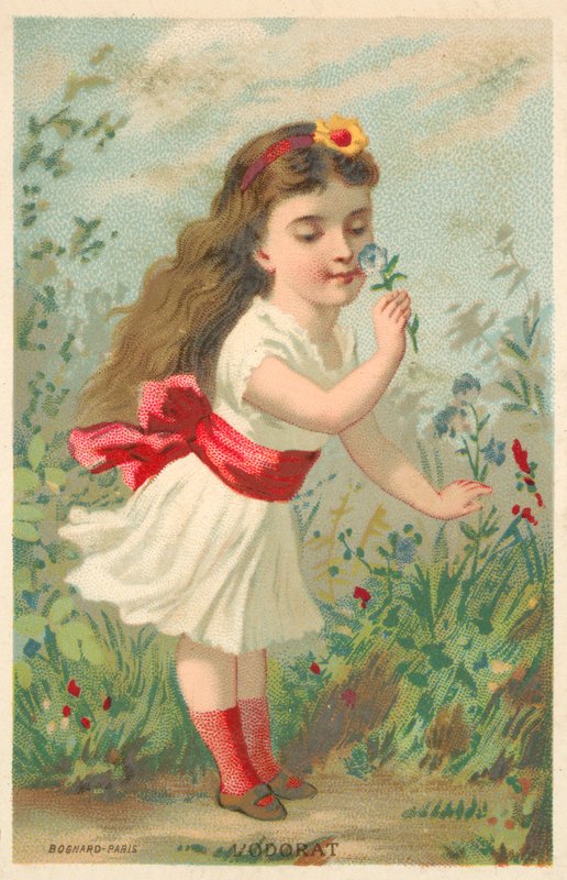 Smell by French School