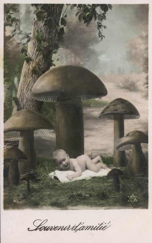 Baby in a Mushroom Patch by French Photographer