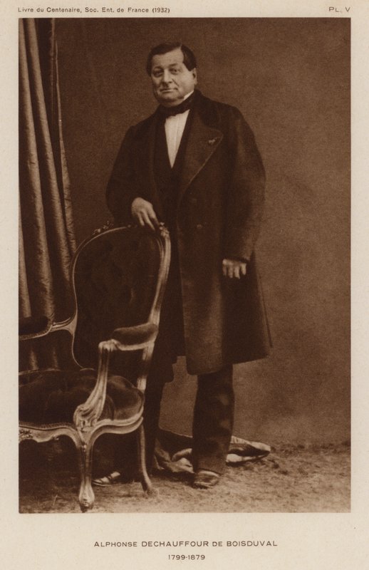 Jean Baptiste Boisduval, French lepidopterist and botanist by French Photographer